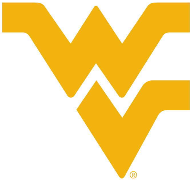 West Virginia Mountaineers 1980-Pres Alternate Logo v4 diy iron on heat transfer